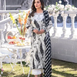 Arsha Pakistani women fashion