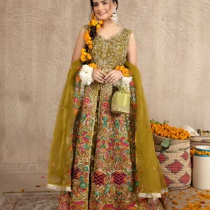 Ragni Pakistani women fashion